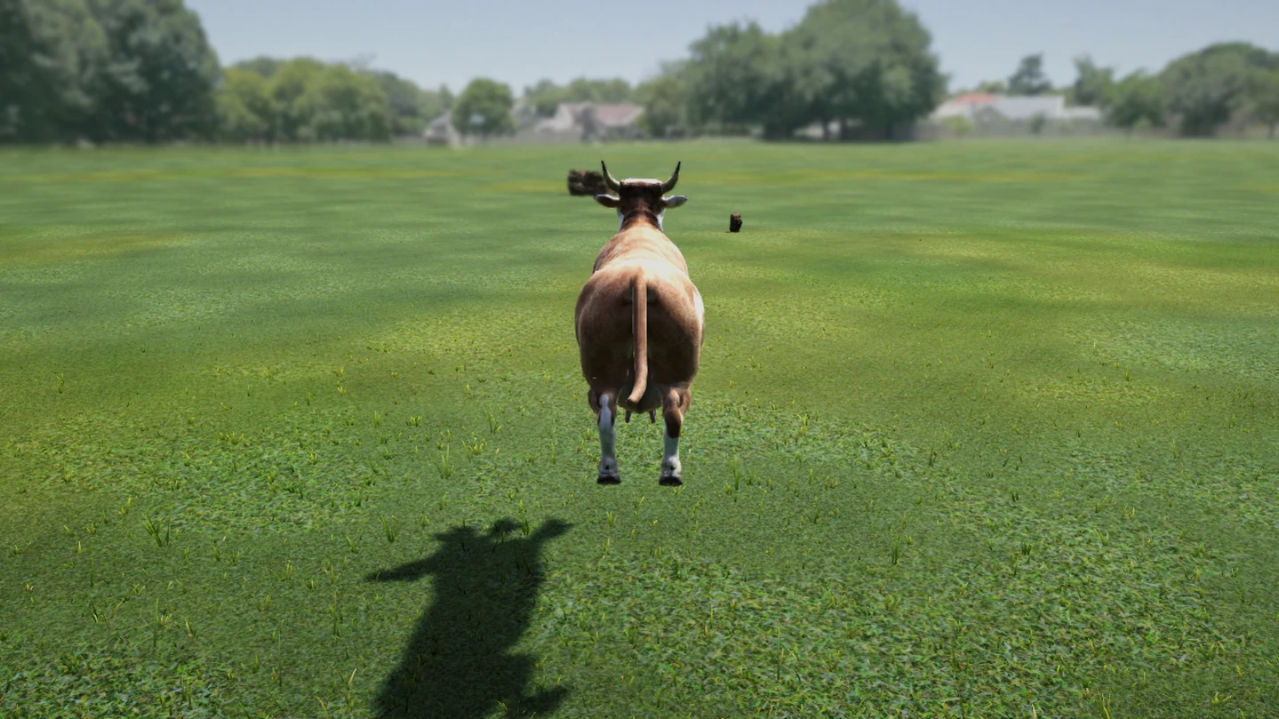 A cow in the air over the grass, its shadow below.