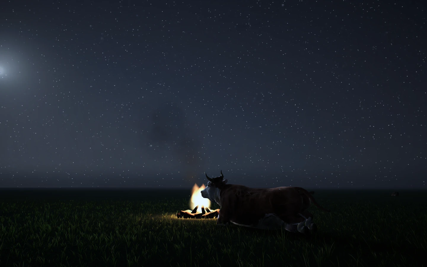 A cow lying by a campfire under the stars.