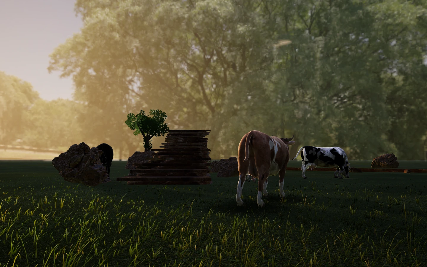 Cows grazing in a meadow under big trees.