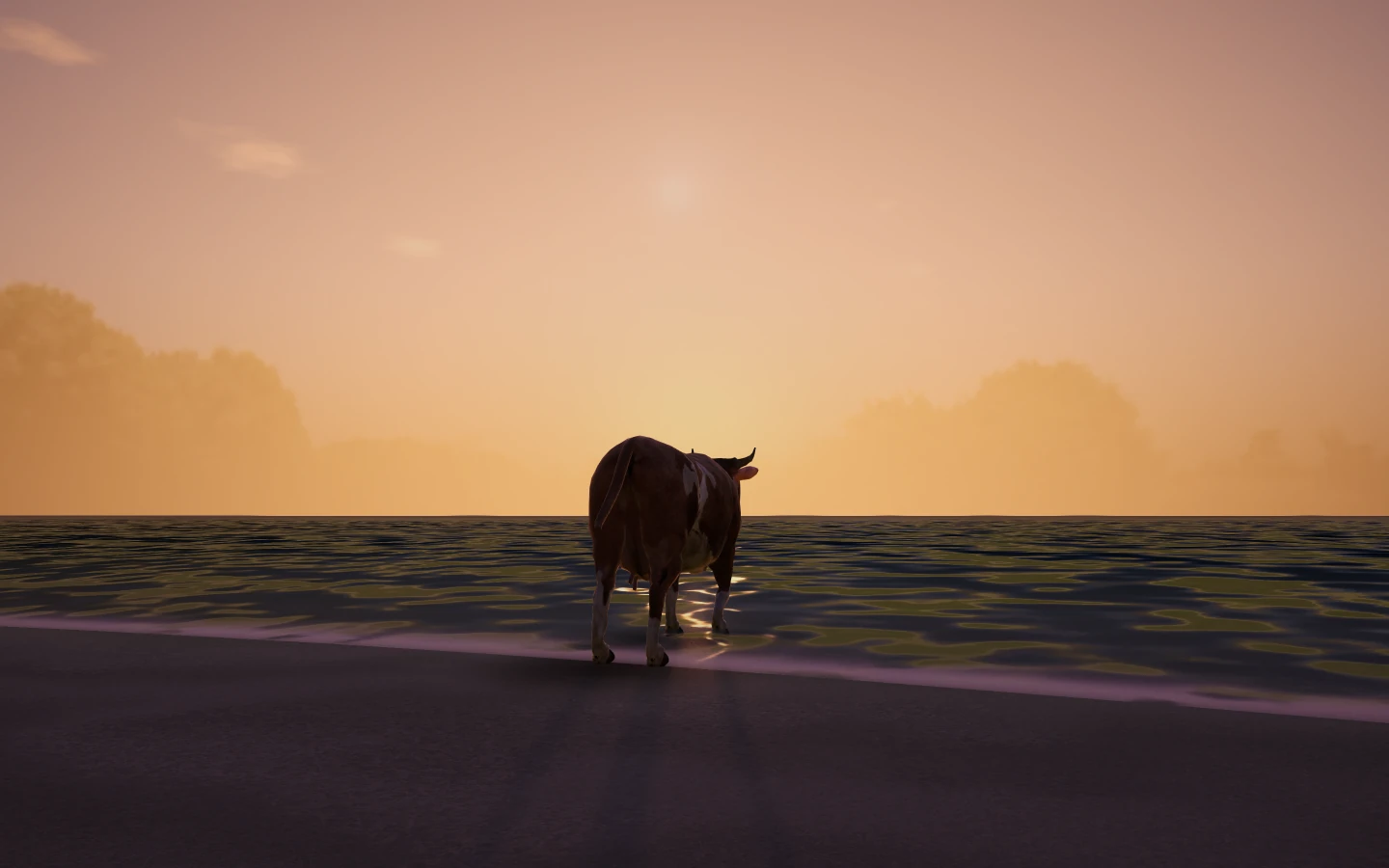 A cow at the edge of the sea at dusk.