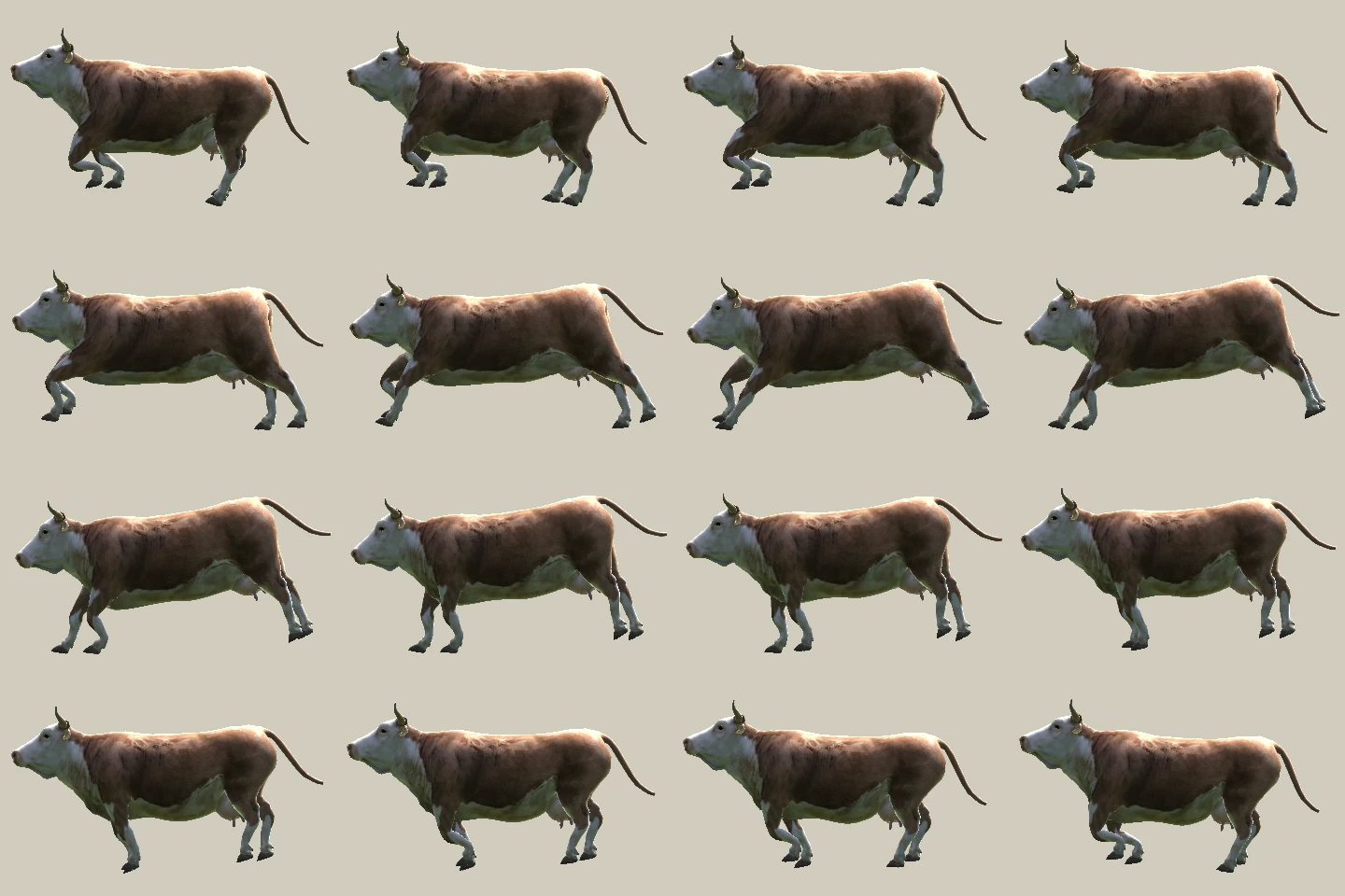Our cow's gallop laid out frame by frame, like a Muybridge plate.